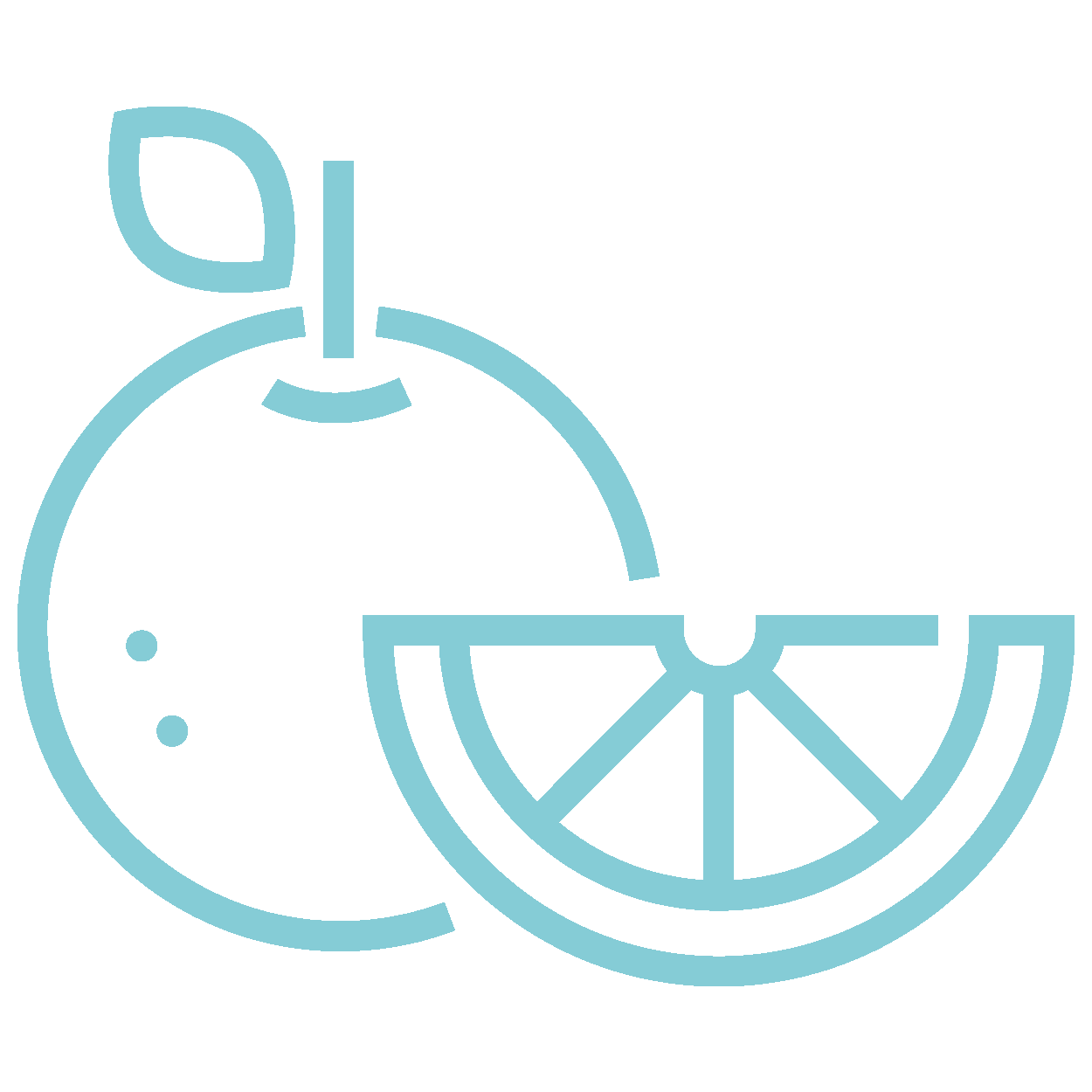 Fruit Bowl